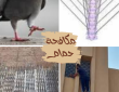شركة تركيب طارد حمام بالجبيل 0535939930 اشواك وشبك مانع الطيور