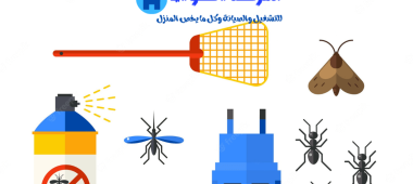 شركة مكافحة الحشرات بينبع رش النمل والصراصير مكافحة بق الفراش والقوارض